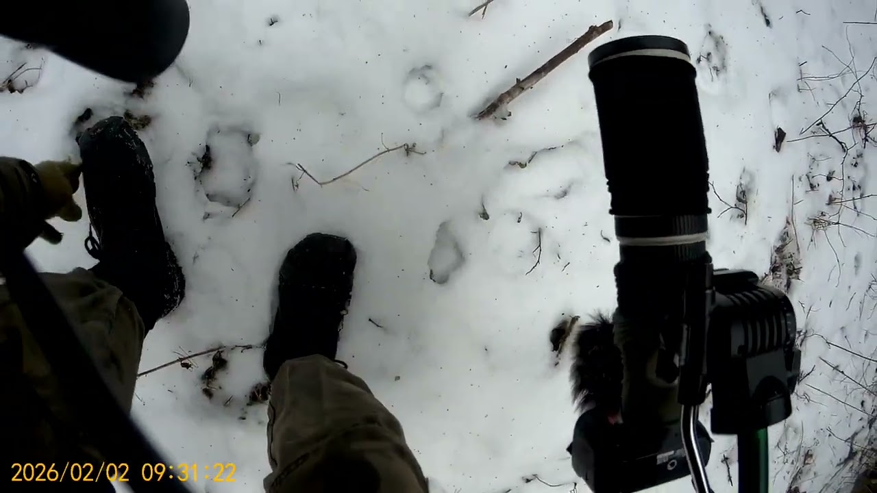 Z dziejszego patrolu