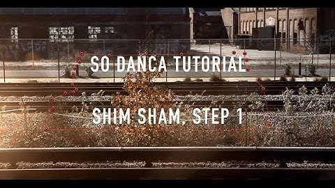 How to Tap: The Shim Sham – Step 1 | So Danca Tutorial