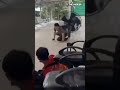 Таиланд нанес авиаудар по объектам в Камбодже #shorts