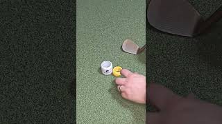 Birdie Ball vs TrueFlight Halo — Which Golf Trainer Gives Better Feedback? #golfpractice #golf