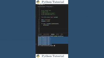 Getting Synonyms For Words With Python | Python Tutorial
