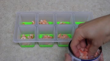 SHRIMP ICE CUBES!