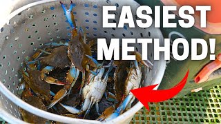 ANYONE Can Catch Blue Crabs Like This!