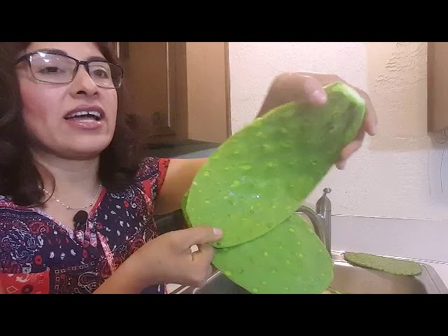 Tratando la CUCHARA peladora de nopales funcionará? 