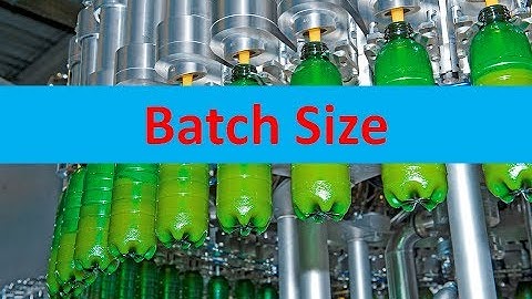 Batch Size