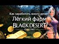 КАК ЗАРАБОТАТЬ ДЕНЕГ В BDO? ЛЕГКИЙ ФАРМ ГОЛДЫ | Black Desert Online