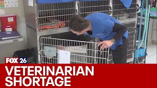 Veterinarian shortage in US could cause problems for pets, owners