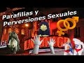 porno - Parafilias y perversiones sexuales - Realidad vs peliculas porno