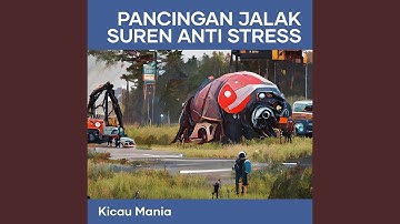 Pancingan Jalak Suren Anti Stress