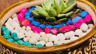 Miniature Garden With Succulent Easy Diy Mini Garden Idea