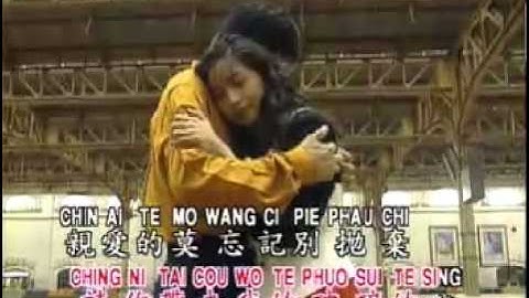 谢采妘 (Michelle Hsieh) - CAI WEN WO IK CHE + CI SE CAI CIEN