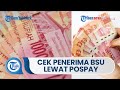 Kemnaker Beberkan Perbedaan Penyaluran BSU Tahap VII Lewat Kantor Pos