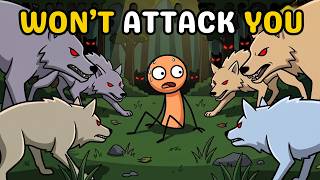 Why Wolves Avoid Humans In Wild