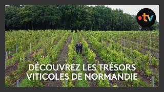 Salon “Aux vignobles” à Caen : les vins normands à l’honneur