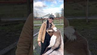 Celebrity Say Hello to Ruby! Net Worth