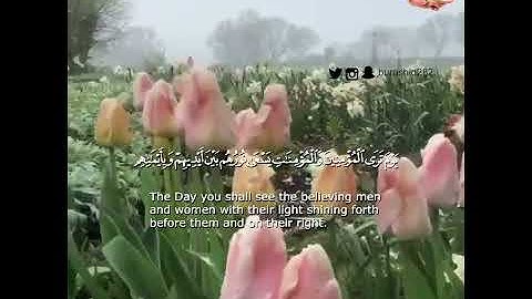 من روائع التلاوات {يَوْمَ تَرَى الْمُؤْمِنِينَ وَالْمُؤْمِنَاتِ يَسْعَى نُورُهُمْ ...}