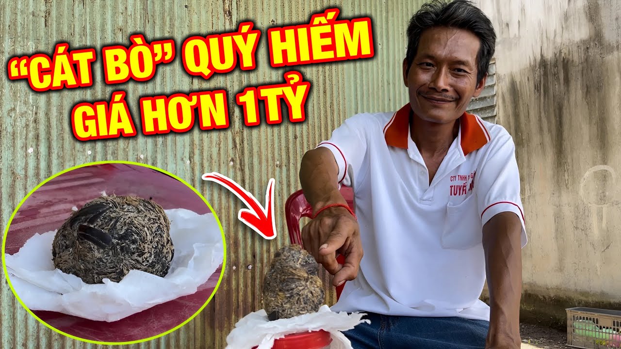 Kỳ lạ..! Xuất Hiện 