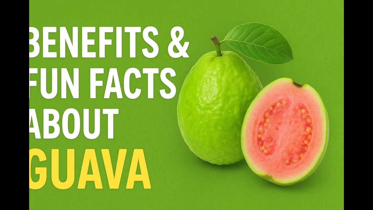 Benefits and fun facts about GUAVA - YouTube