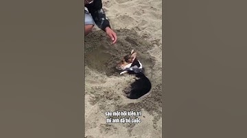 TƯỞNG NÓ BỊ LÀM SAO HOÁ RA LÀ ....😅😅😅