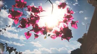 Under The Sun - Ss23 Collection