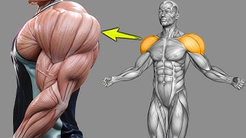 11 Exercises to Get Huge Shoulder in Record Time