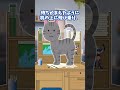 【ほっこり】受験勉強より猫が難関だった