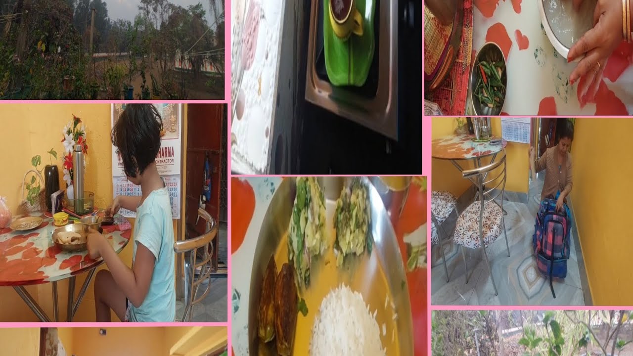 বাড়ি থেকে ফিরে এসে অলসতাকে পাত্তা না দিয়েই  সমস্ত কাজ গুছিয়ে নিলাম।।