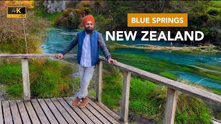 Blue Springs | Clear blue water | Putaruru | New Zealand | 4K | Harpal Singh Guron | 2020