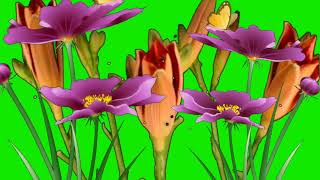 blooming happy dancing flowers animated cartoon green screen video for youtubers copyright free.