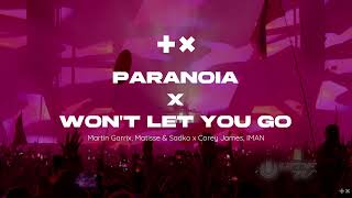 Paranoia x Won't Let You Go (Martin Garrix B2B Alesso Ultra Music Festival 2026 Mashup)