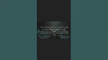 تلاوة رائعة من سورة المنافقون برواية ورش عن نافع بصوت القارئ بلال شريفي #لايك@SaadLamjarred