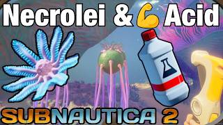 Necrolei Cysts Location & Strong Acid Recipe in Subnautica 2