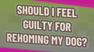 Should I feel guilty for rehoming my dog?