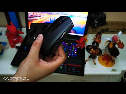 Msi Clutch Gm70 Mouse Wired/Wireless Unboxing