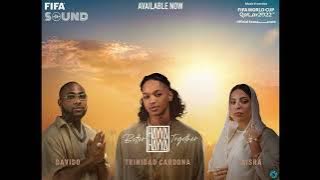Fifa 2022 soundtrack - Hayya Hayya (acapella)