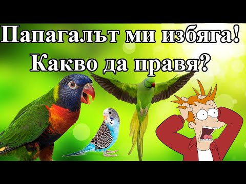 Видео: Самоотчитане на придържането към антиретровирусна терапия и вирусно натоварване в населението, свързано с наказателното правосъдие