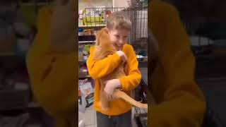 A Kid Came To A Shelter To Choose A Cat, But The Cat Chose Him First