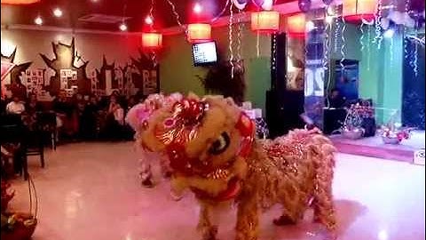 CHO THUÊ MÚA LÂN BIỂU DIỄN ẢO THUẬT XIẾC THÚ LH 0968 168 724