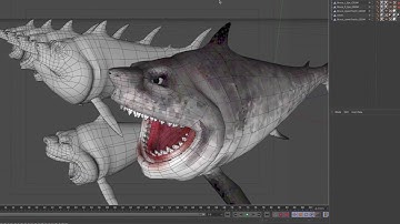 Cinema 4D shark modelling process