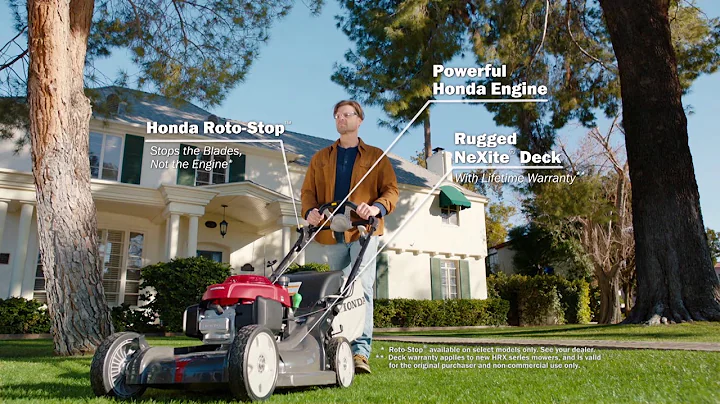 Bud Herbert Cinci   June TV spot