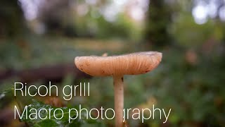 macro photography Ricoh grIII