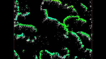 A very long run of EcoSim. Week 8 - time steps 6001 to 7000