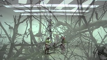 Com&Com: Deconstruction Tree (2010 Performance, dok short version)