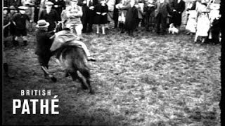 The Unridable Pony! (1931)