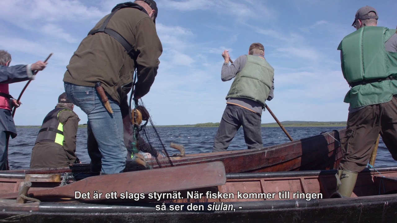 Kullepyynti Tornionjoella - Kolkfiske i Torneälv