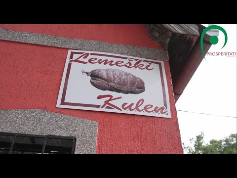 Vujevity Árpád, nemesmiliticsi vállalkozó