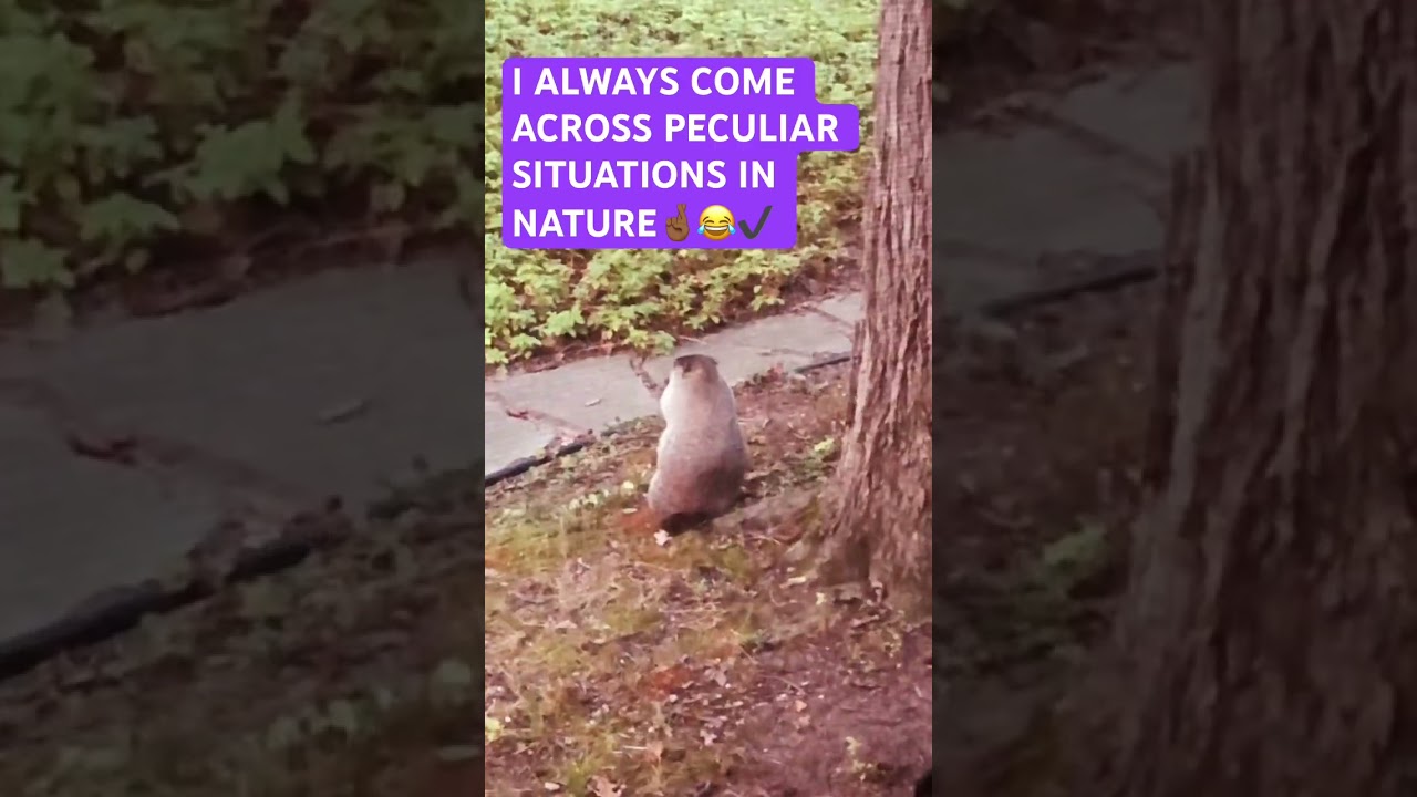 NATURE LOVER‼️🧿🥰