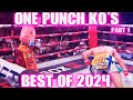 One Punch Knockouts | Best of 2024 | Part 1 #boxinglegends