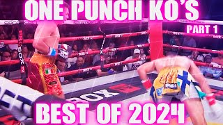 One Punch Knockouts | Best of 2024 | Part 1 #boxinglegends