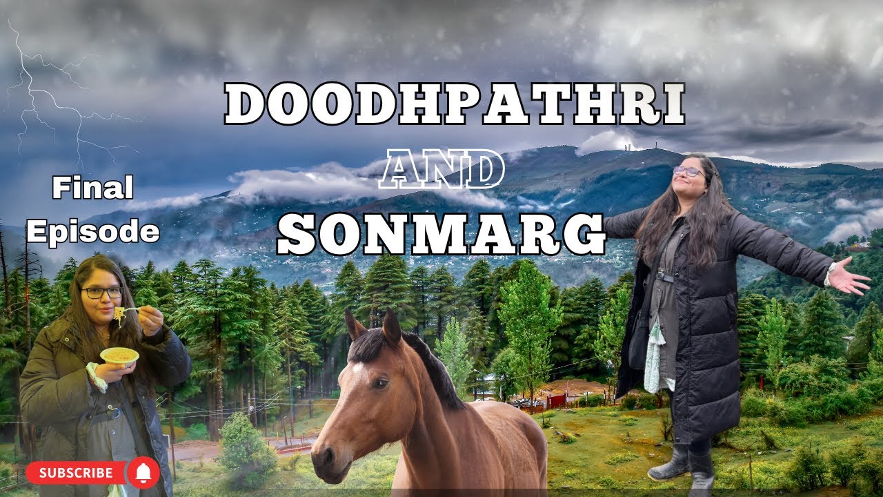 Kashmir Travel Vlog | Doodhpathri Horse Ride, Sonmarg Snowfall & Srinagar Shopping 🛍️ 